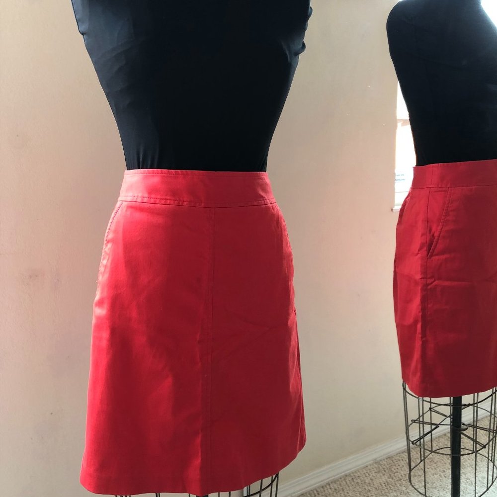 Banana Republic Tina Turk Skirt